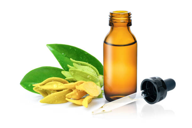 826 Ylang Ylang Essential Oil Stock Photos, Pictures & Royalty-Free Images - iStock