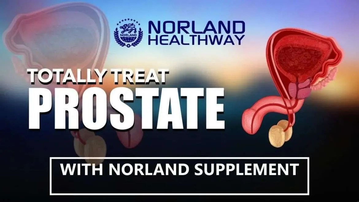 Norland Prostate Pack