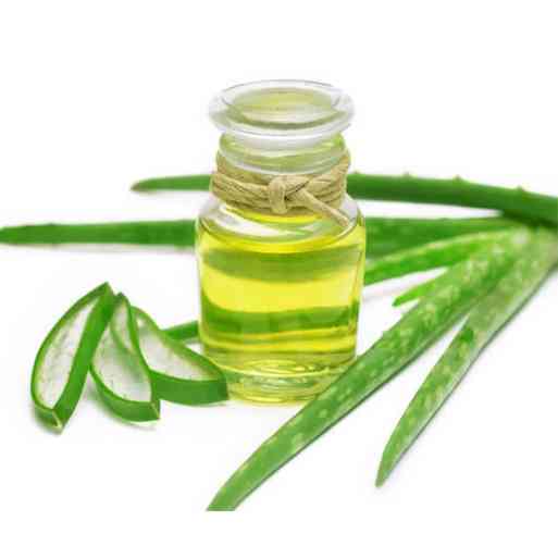 Aloe Vera Oil - Macerated – Skin Foodie