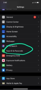 How to setup face id on iphone
