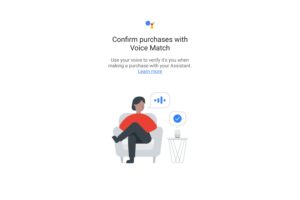 Google voice payment